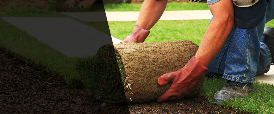 Corvallis Landscapers